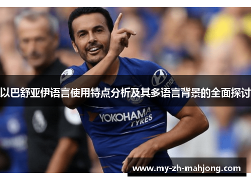 以巴舒亚伊语言使用特点分析及其多语言背景的全面探讨