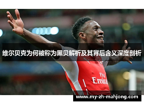 维尔贝克为何被称为黑贝解析及其背后含义深度剖析