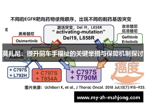 莫扎尼：提升前车手福祉的关键举措与保障机制探讨