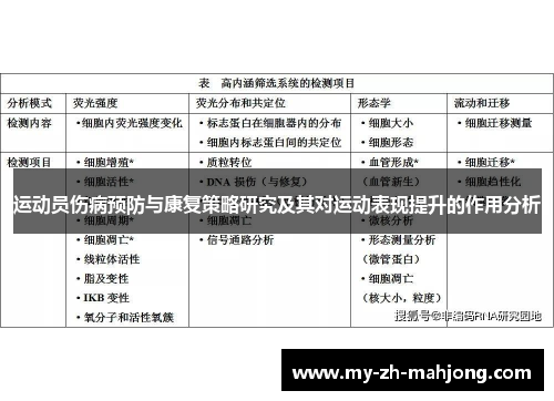 运动员伤病预防与康复策略研究及其对运动表现提升的作用分析 运动员伤病预防与康复策略研究及其对运动表现提升的作用分析